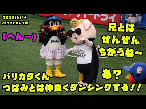 バリカタくん　つばみとは仲良くダンシングする！！　2023/6/14 vsソフトバンク