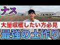 【ナス】良い実をつけるための「土づくり」の方法