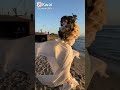 تيك توك يشيم لايك جاب بلوك