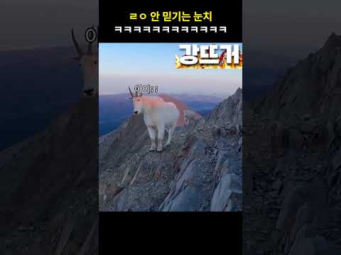 소금 팔잖아 ㅋㅋㅋ