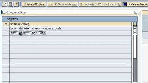SAP FICO VIDEO TRAINING TUTORIALS 0002 COMPANY CODE CREATION EEC6   BAYISETTI