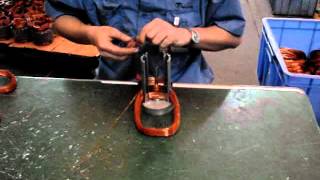 DLM-5B Simple Coil Inserting Machine.avi