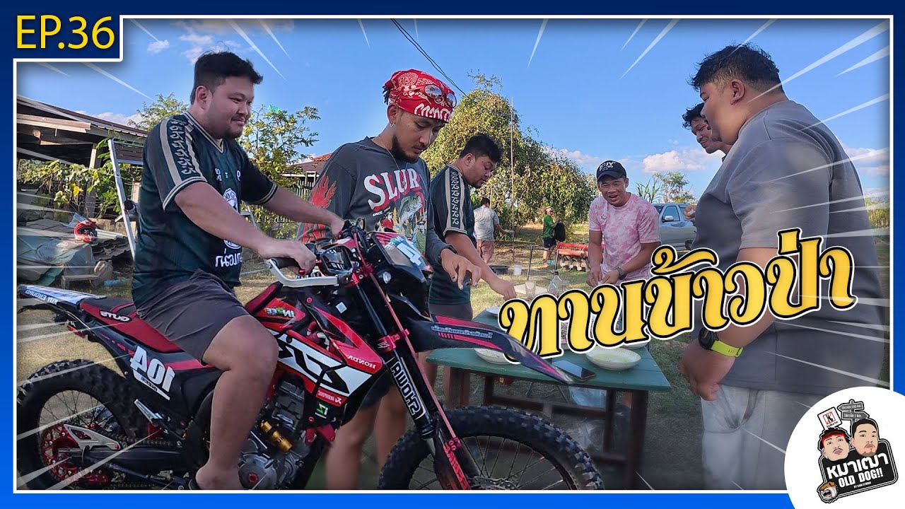 หมาเฒ่า - OLD DOG!! I Ep 36 ทานข้าวป่า