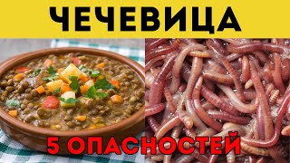 картинка: Внимание, Пожилые Люди! Эти 5 Ошибок С Чечевицей Вредят Вашему Здоровью. Избегайте Их Уже Сейчас!