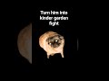 turn into kinder garden fight