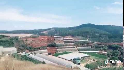 Bán 960m2 đất hẻm Công ty Doly - Đa Quý - Xuân Thọ - Đà Lạt