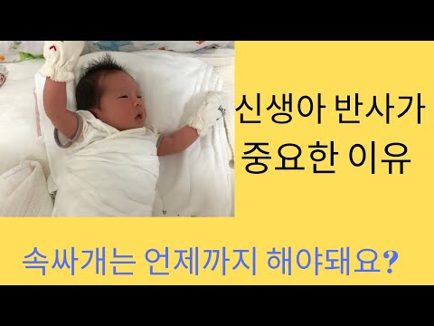 이유식언제까지 추천