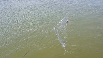 ĐÁNH LƯỚI BẮT CÁ RÔ PHI NƯỚC MẶN ĐỘ MẶN 35%, ĐÁNH BẮT CÁ RÔ PHI KHỦNG NHẤT THẾ GIỚI