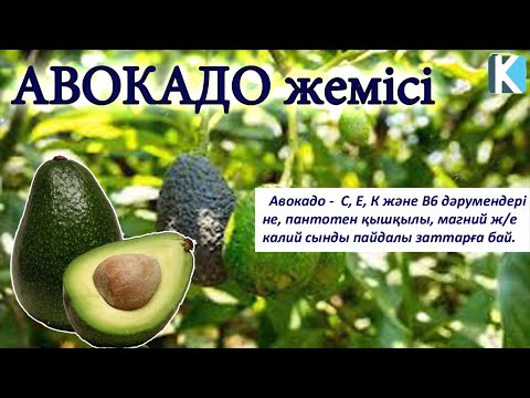 Порно қыздар желіде жігітке сиысады Пойыздағы әйелдердің суреттері