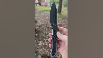 Microtech Anax Early Production Large Label. Bead blasted m390 in a unibody titanium frame.