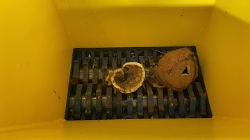 The dried coconut shell is so hard, our shredder machine can shredding fast and Uniform particles