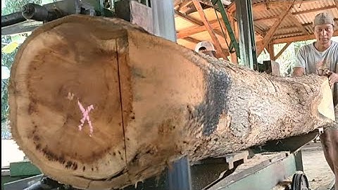The process of sawing teak wood for beautiful house frame materials 
