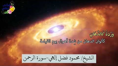 سورة الرحمن | بصوت القارئ : محمود فضل