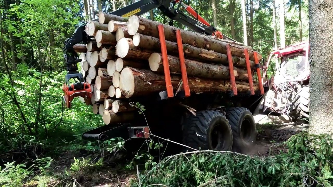 Der neue Bmf 11 T1 Pro mit Bmf 750 HP Kran beim Käferholz ausfahren