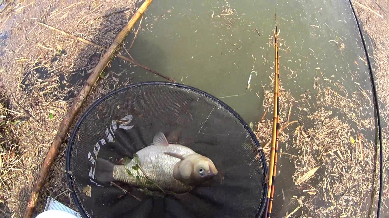 Nhcメンバーズ リポート へらぶな釣り 釣行記 西日本 Npo法人 Nhc日本へらぶなクラブ