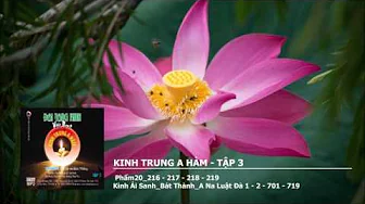 Tập 3 – Phẩm20–216 – 217 – 218 – 219–K.Ái Sanh–Bát Thành–A Na Luật Đà 1 – 2
