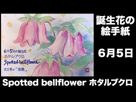 誕生花の絵手紙 ６月５日 Spotted Bellflower ホタルブクロ Youtube