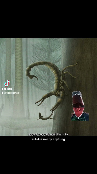 The Biggest Scorpion Ever