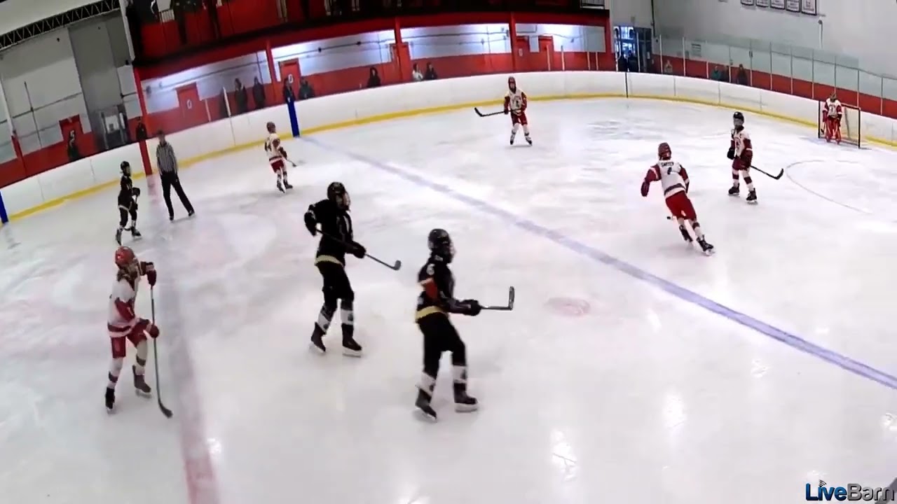 CJ Carter 2023-24 Highlights 11 Years old