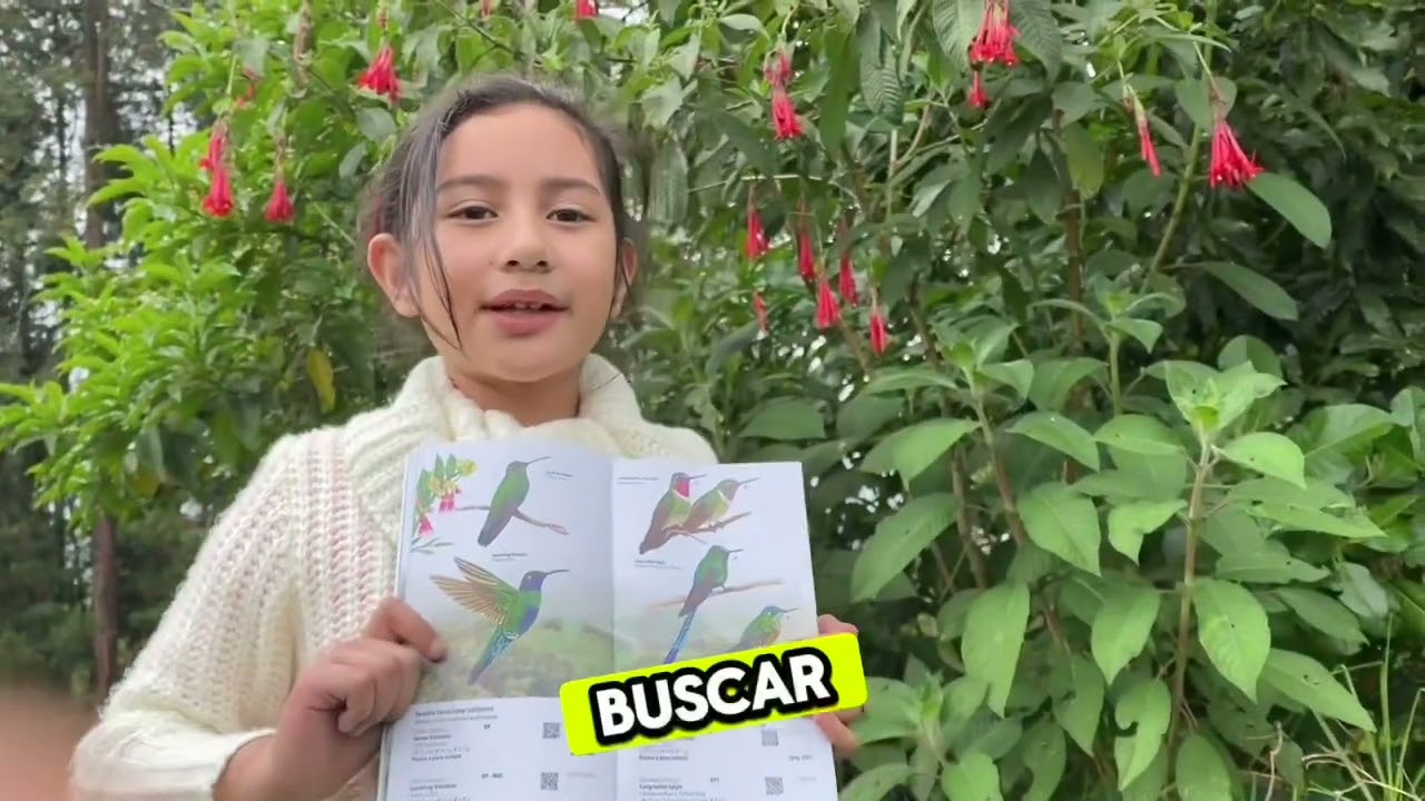 Observando aves de Bogotá con Ángel Helenita