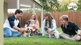 Celebrate National Pug Day | Irwin Family Adventures