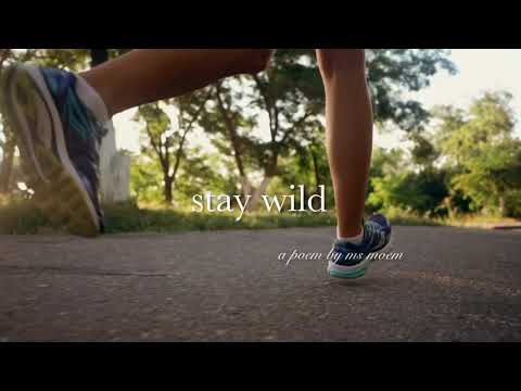 stay wild thumbnail
