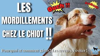 Les mordillements chez le chiot !