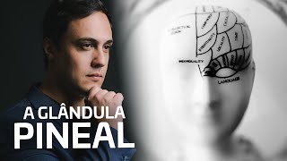 O Poder da Glândula Pineal - Lucas Naves com Dr. Sérgio Felipe de Oliveira