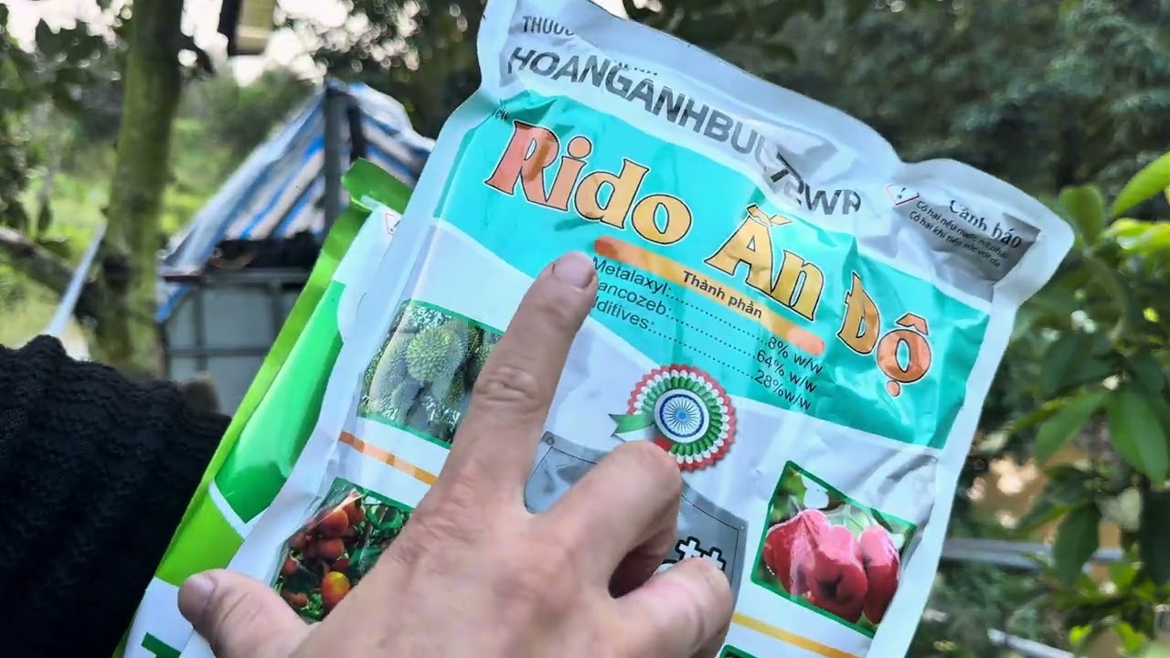 Эпизод 24: Каким фунгицидом следует опрыскивать дуриановые деревья после цветения в сезоне 2025-2...