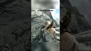 Пчелы-полицейские в Skyrim ловили преступников