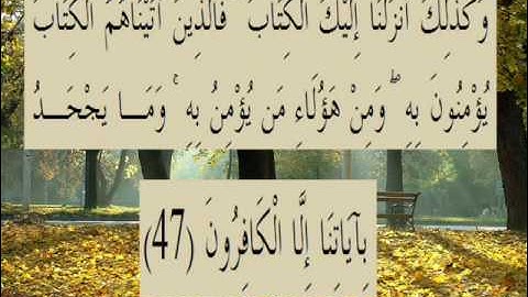 القران الكريم سورة العنكبوت الأية 47.wmv
