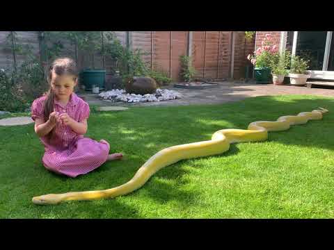 Extremely fast paced action keeping Retics