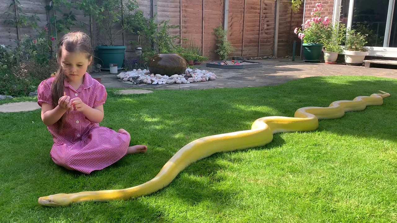 handling yourself in success and failure Extremely fast paced action keeping Retics