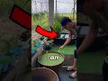 😵 Months of Neglect Led to THIS Moment… You Won’t Believe What He Found! 😱