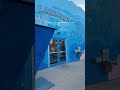 Disney’s art of animation resort worth the value and comfortable #disney #disneyfamilyvacation