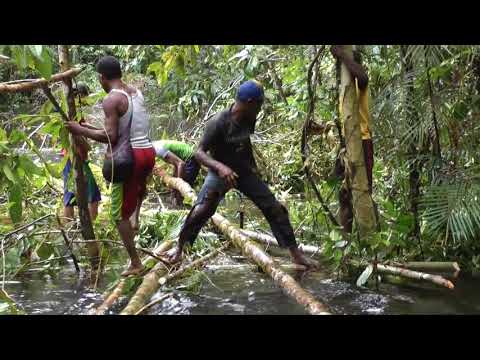 West Papua - Expedition to the Kuruwai, Part 2 March through the Rain Forest