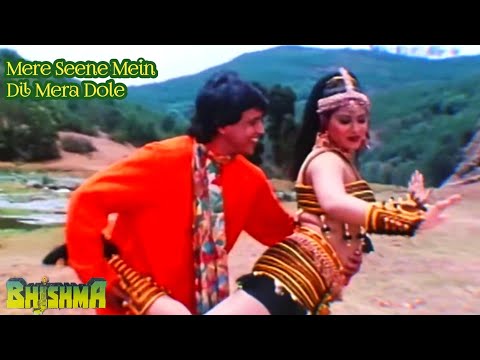 Mere Seene Mein Dil Mera Dole | Bhishma | Mithun Chakraborti & Vani Viswanath