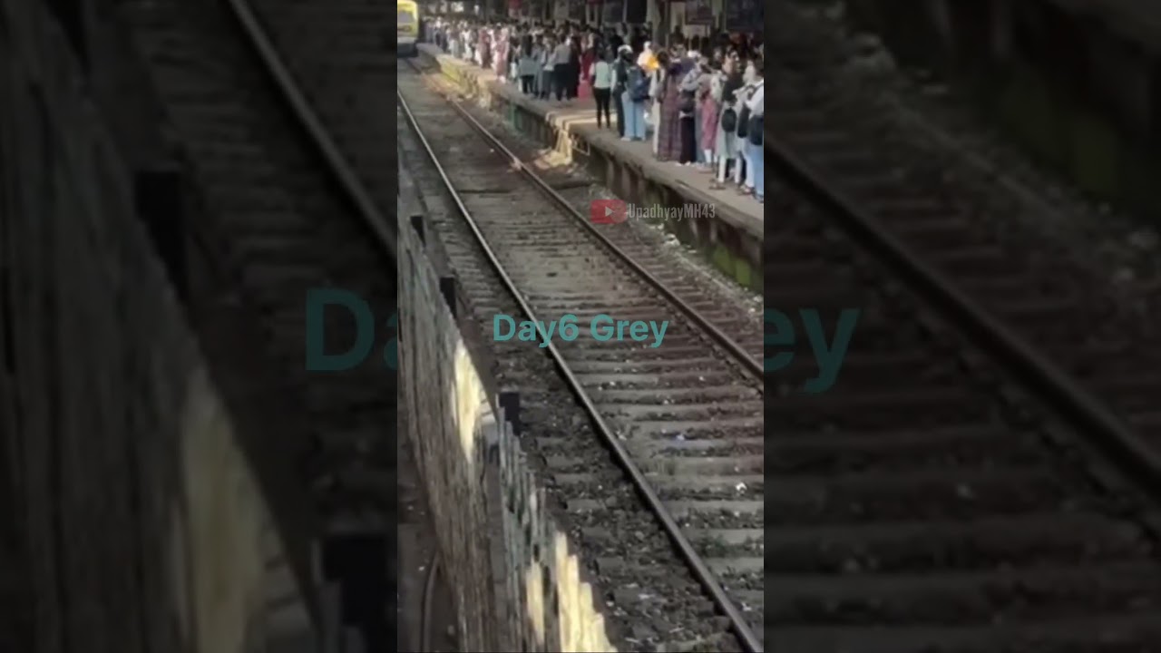 Navratr Day6i grey colour mumbai local 