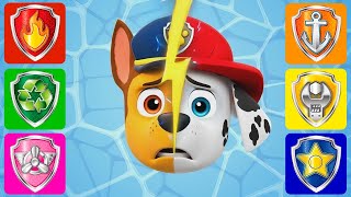 Paw Patrol Chase Wrong Face