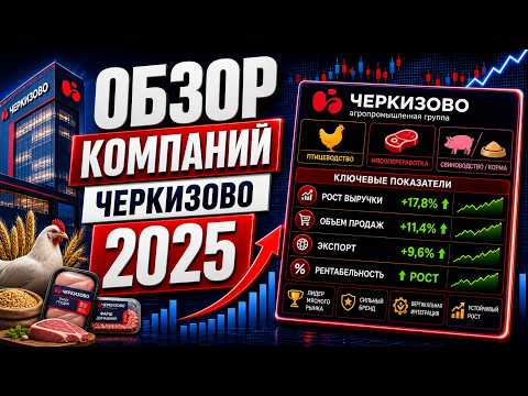 Cherkizovo - company overview for 2025