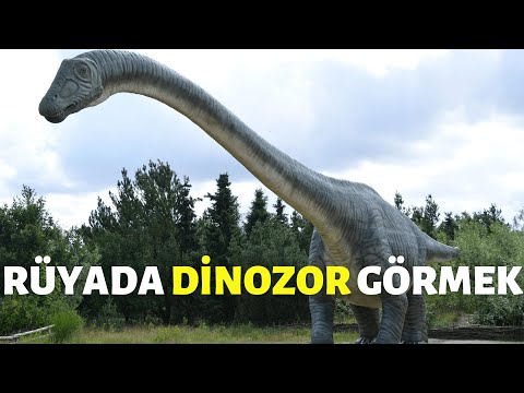 Rüyada Dinozor Görmek | RÜYA TABİRLERİ