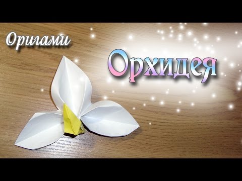 Оригами анютины глазки схема