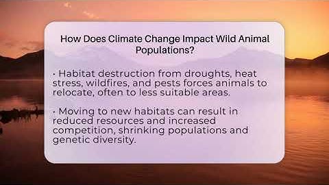 How Does Climate Change Impact Wild Animal Populations? - Ecosystem Essentials