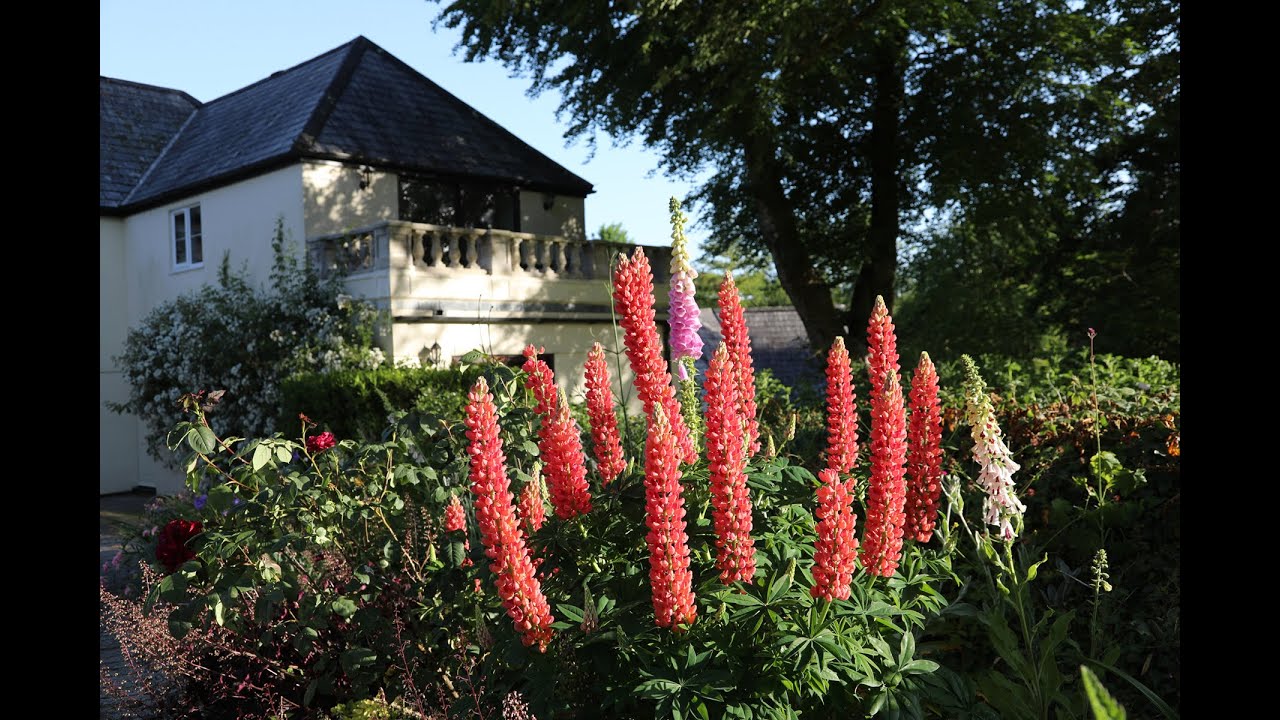 HPB Duloe Manor is opening its gardens!
