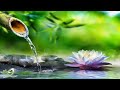 Meditation music relaxing music stress relief music study meditation song  sleeping meditation