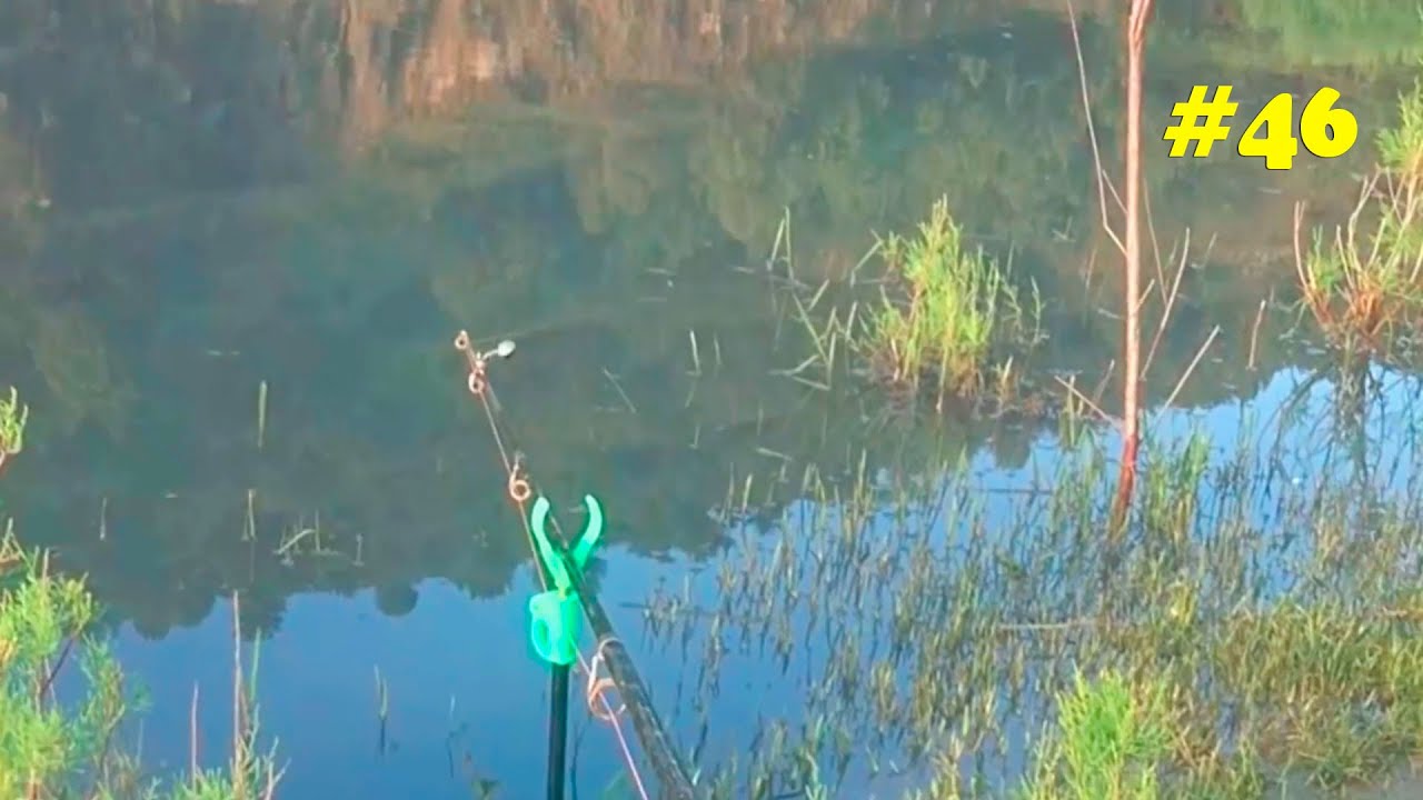 Великолепная FISH HUNT BIGGER CARP HUNT Fishing с Dip Fishing Rod with Mulberry