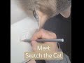 Mindful Strokes: Art Meditation & Sketch the Cat #ArtMeditation #ArtTherapy #MindfulMeditation