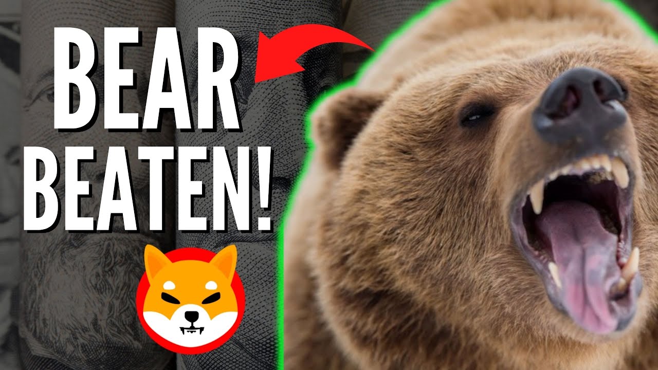 THE BEAR MARKET IS OVER! SHIBA INU COIN SHIB IS OFFICIALLY GOING UP!