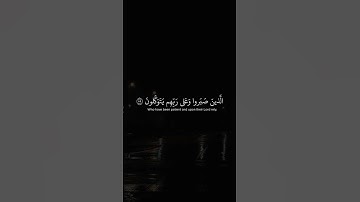 تلاوة هادئة جداً جداً للقارئ عبد الرحمن مسعد 💙💚 أرح قلبك