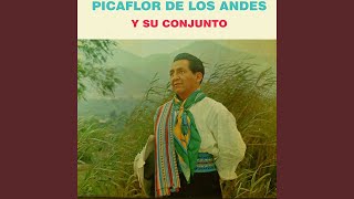 Video thumbnail of "Picaflor de los Andes - Por Tu Santo"
